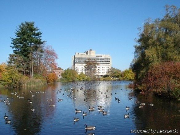 Hotel Umass Amherst Faciliteter billede